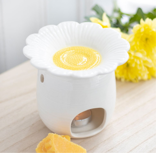 Daisy wax & oil burner